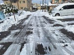 20250221_092426.jpg