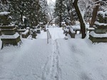 20250221_100931.jpg