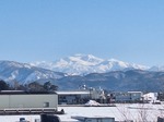 20250225_153524.jpg