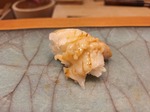20250315_204350.jpg