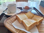20250331_111825.jpg