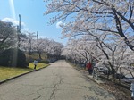 20250407_114220.jpg