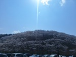 20250407_114404.jpg